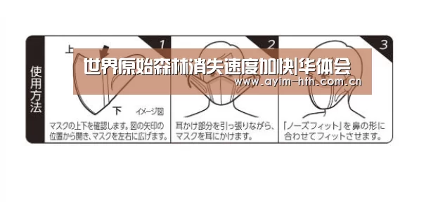 世界原始森林消失速度加快|华体会(图2) 华体会