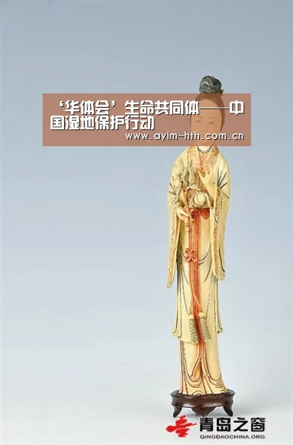 华体会入口