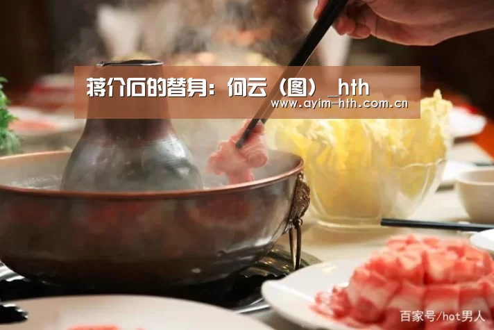 蒋介石的替身:何云(图)_hth(图3) 华体会登陆