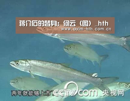 蒋介石的替身：何云（图）_hth