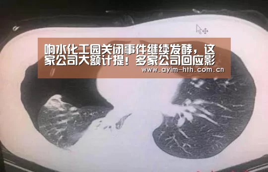 响水化工园关闭事件继续发酵，这家公司大额计提！多家公司回应影响“华体会入口”(图2)