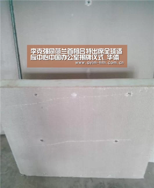 李克强同荷兰首相吕特出席全球适应中心中国办公室揭牌仪式_华体