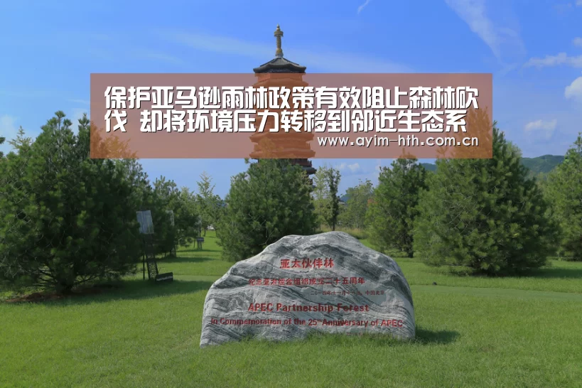 保护亚马逊雨林政策有效阻止森林砍伐 却将环境压力转移到邻近生