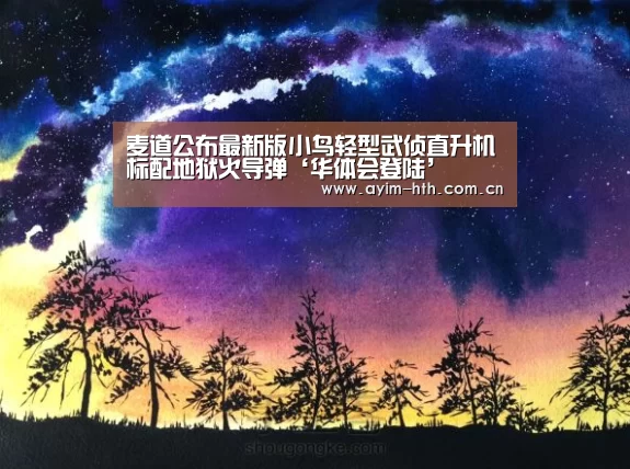 麦道公布最新版小鸟轻型武侦直升机标配地狱火导弹‘华体会登陆’(图3)