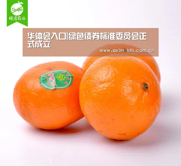 华体会入口|绿色债券标准委员会正式成立(图2) 华体会登陆
